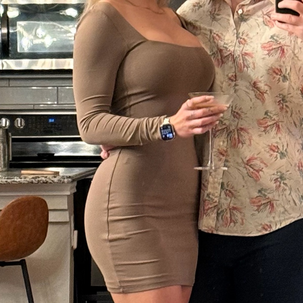 Aritzia Babaton Taupe Long Sleeve dress